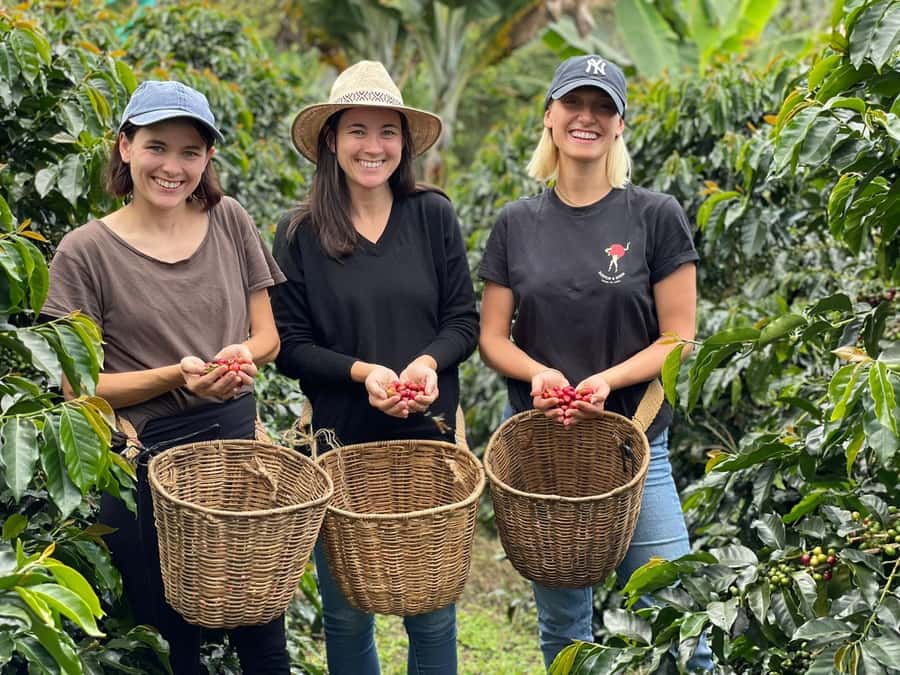 From Bogota: 5 hour guided coffe farm tour - All included - The farm visit: learn the full coffee production story