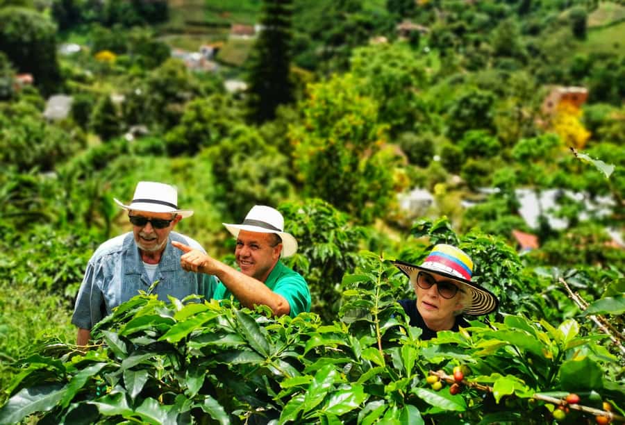 From Bogota: 5 hour guided coffe farm tour - All included - Stop in Ubaque: breakfast first, then the day moves