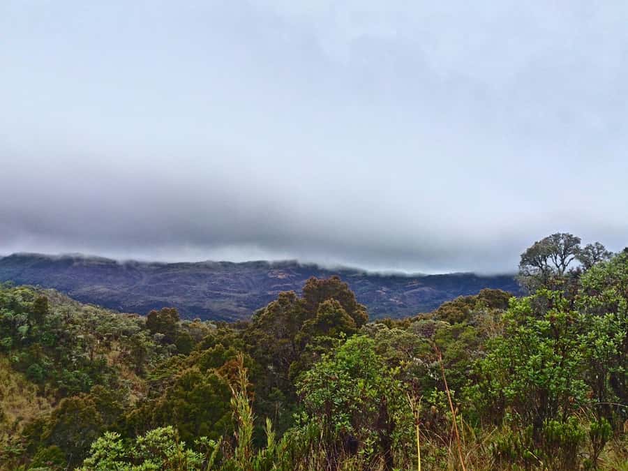 From Bogotá: Chingaza National Park Eco Tour - Key highlights worth planning for