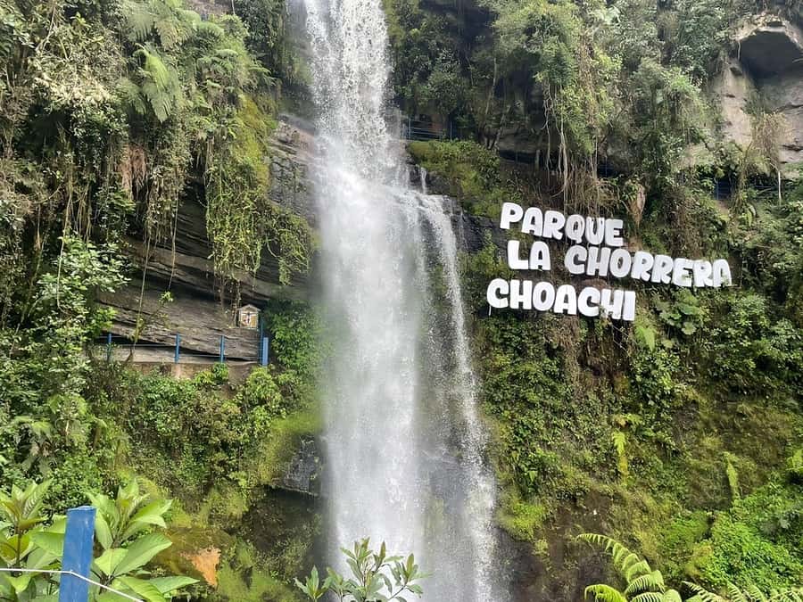 From Bogotá: Chingaza National Park Eco Tour - Who this tour is best for, and who should skip it