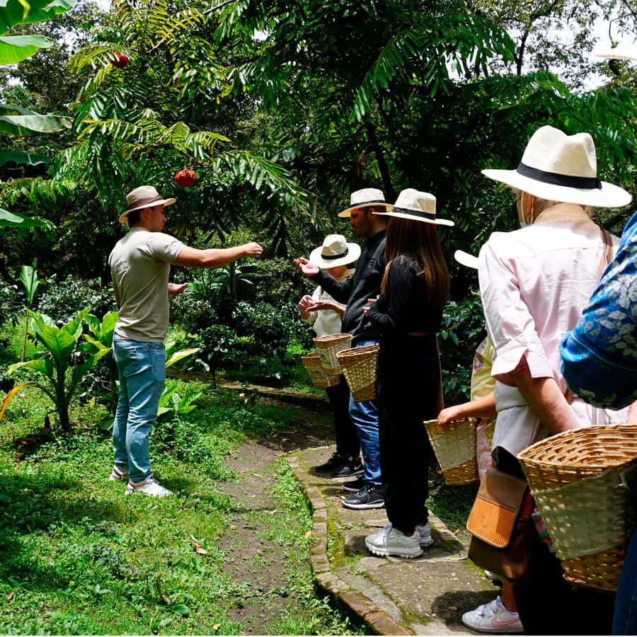 From Bogotá: Coffee Farm and Tequendama Falls Tour - Key takeaways