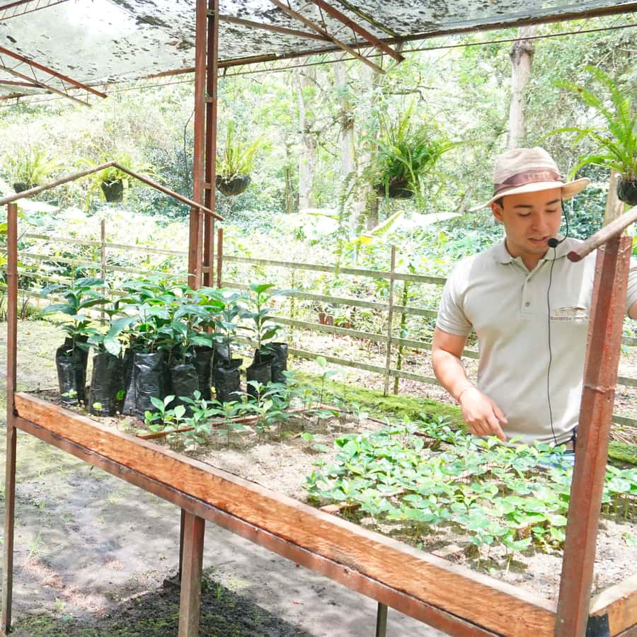 From Bogotá: Coffee Farm and Tequendama Falls Tour - Getting picked up and beating the logistics stress in Bogotá