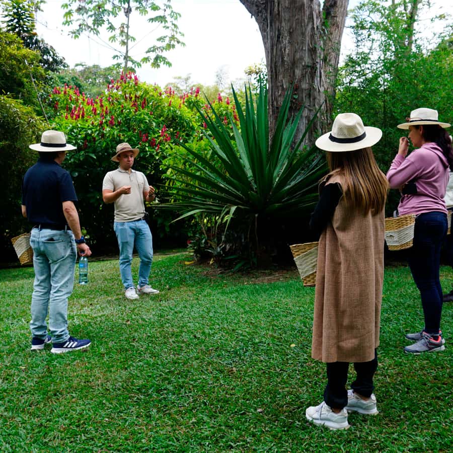 From Bogotá: Coffee Farm and Tequendama Falls Tour - Tequendama Falls: the cliff-drop moment, and how to handle cloudy weather