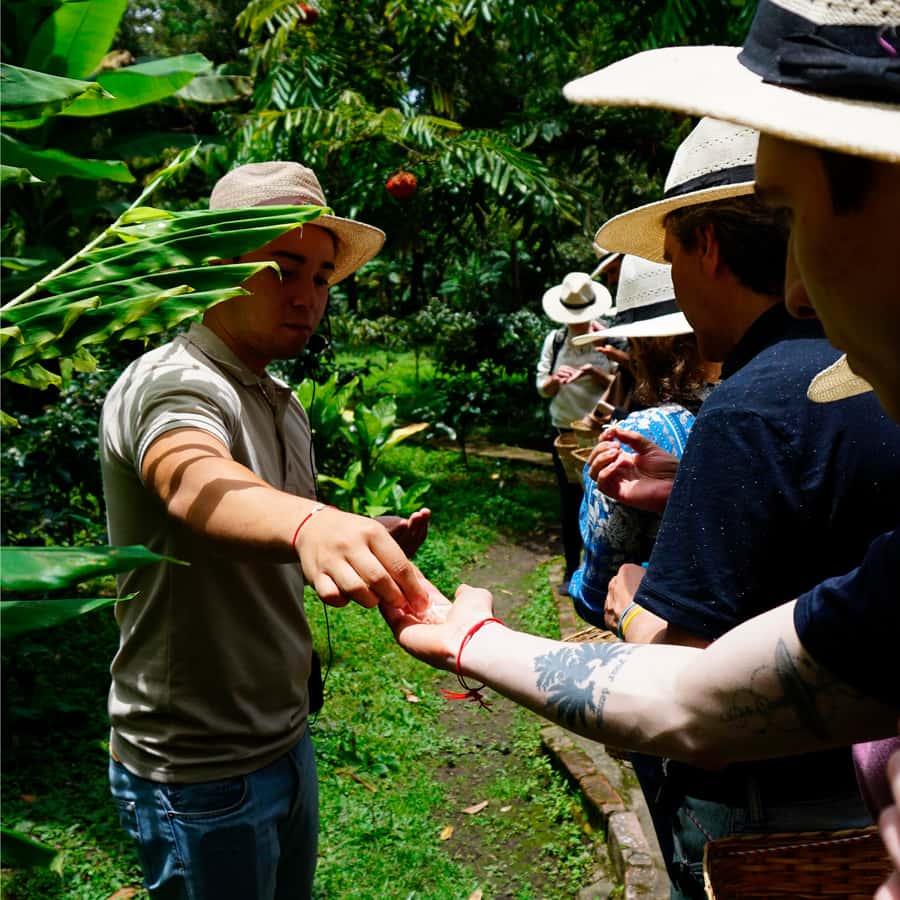 From Bogotá: Coffee Farm and Tequendama Falls Tour - Price and value: is $85 for coffee and Tequendama Falls a fair deal?