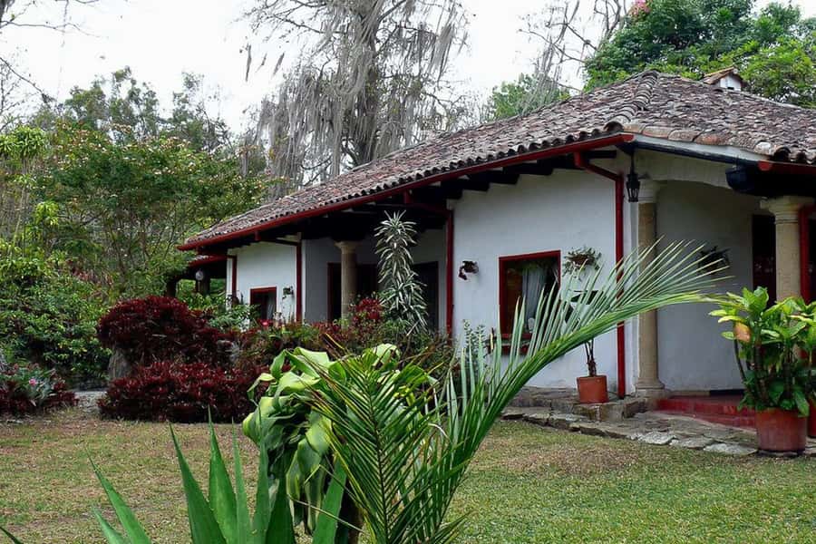 From Bogotá: Coffee Farm Experience Private Day Tour - Key highlights worth your attention