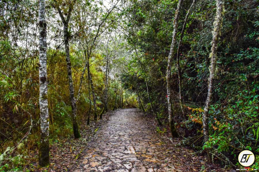 From Bogota: Guatavita Lake & Zipaquira Salt Cathedral Tour - Guides who make the story click