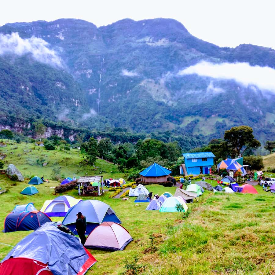 From Bogota: La Chorrera Waterfall Guided Hike - The ecological walk: birds, plants, viewpoints, and forest variety