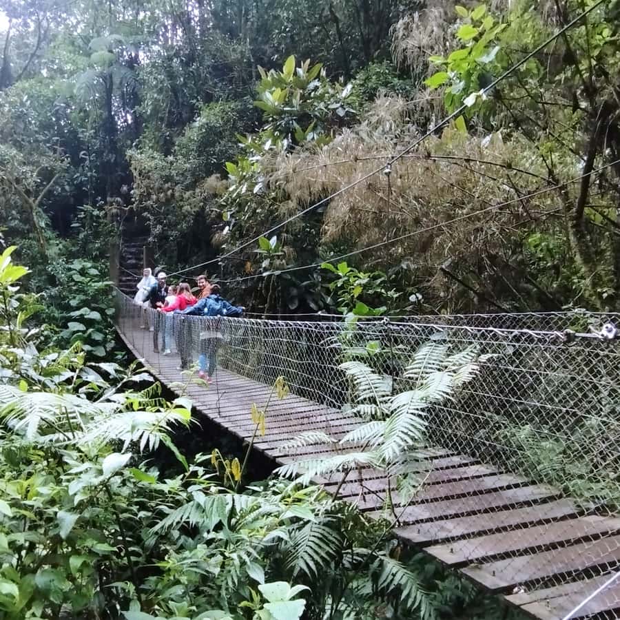 From Bogota: La Chorrera Waterfall Guided Hike - Should you book the La Chorrera Waterfall Guided Hike from Bogotá?