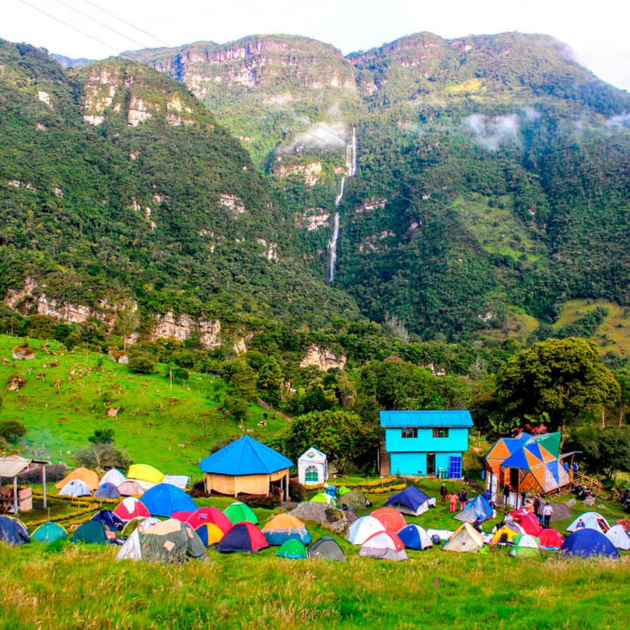From Bogota: La Chorrera Waterfall Guided Hike - La Chorrera Park: biodiversity lessons you can see, not just hear