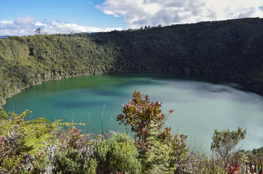 From Bogotá: Lake Guatavita and the El Dorado Legend Tour - Why this El Dorado day trip feels more meaningful than a quick legend stop