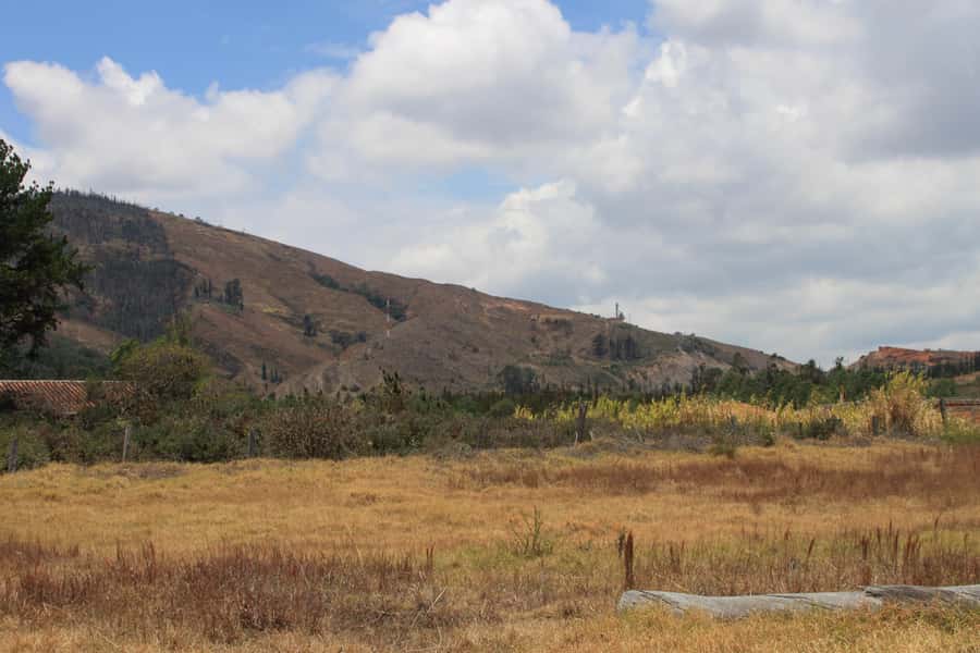 From Bogotá: Private Tour to Villa de Leyva - Villa de Leyva walking tour and Plaza Mayor cobblestones