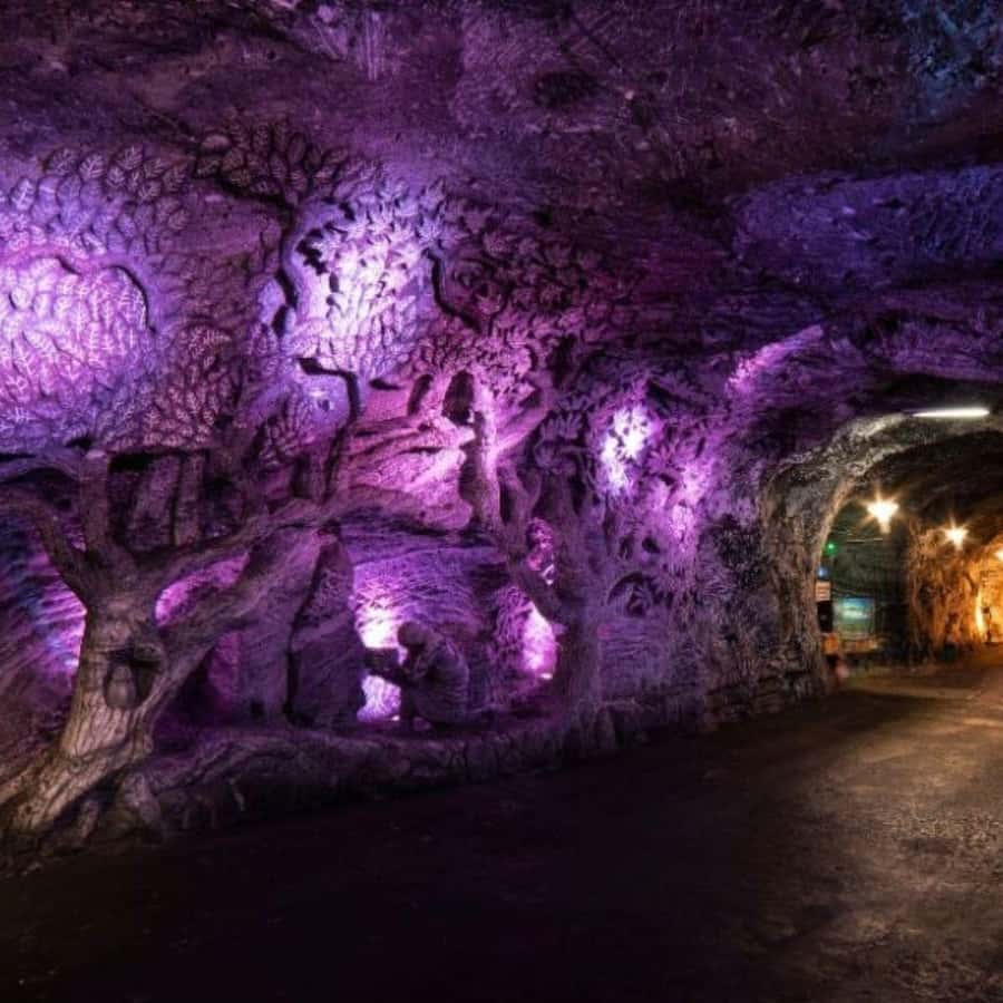 From Bogota: Salt Cathedral Tour in Zipaquirá - The 7-hour flow: pickup, the drive, and keeping the day sane
