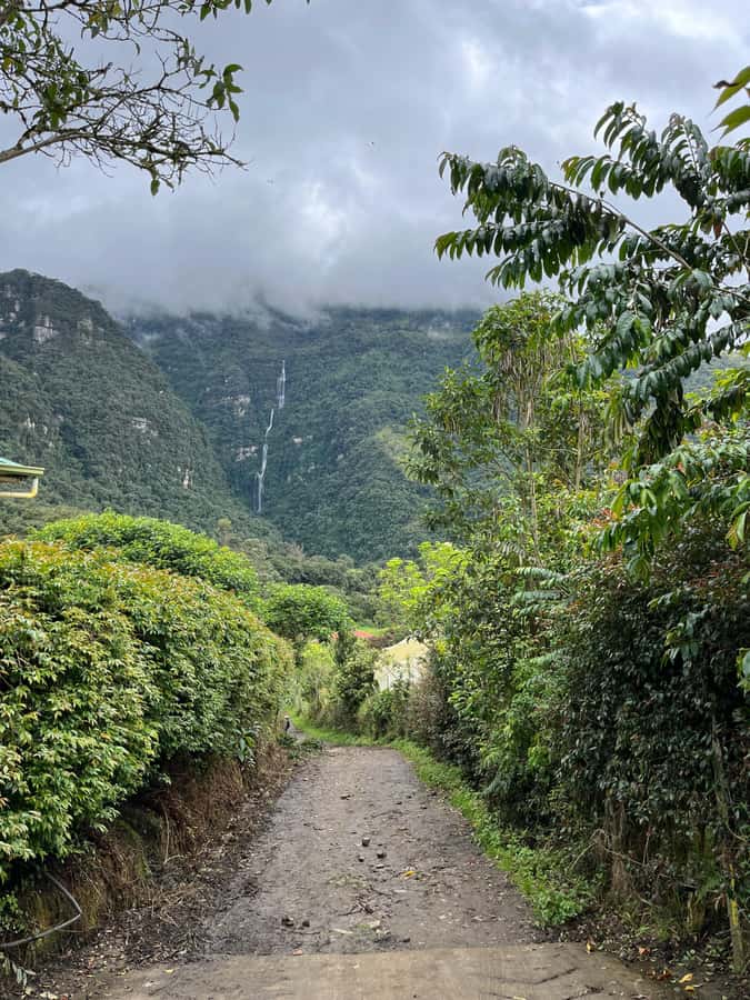 FROM BOGOTA: Tour to La Chorrera, Colombia's highest waterfall. - Why La Chorrera Feels Worth the Ride From Bogotá
