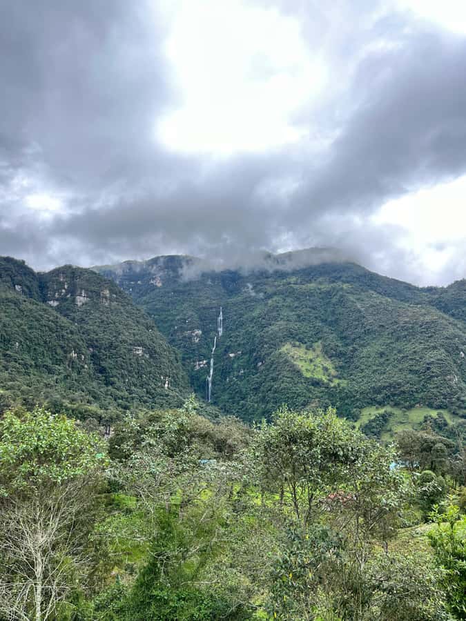 FROM BOGOTA: Tour to La Chorrera, Colombia's highest waterfall. - The Guided Hike: Trails, Wildlife Viewing, and a Real Reason to Walk