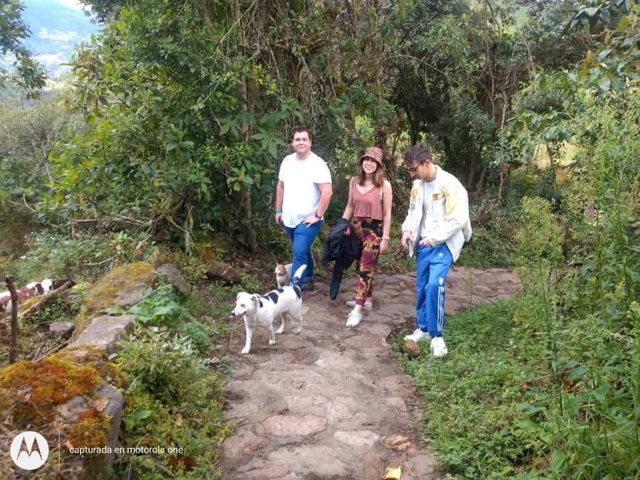 From Bogotá: Tour to the Waterfall of La Chorrera - The Morning Drive From Bogotá to Choachí