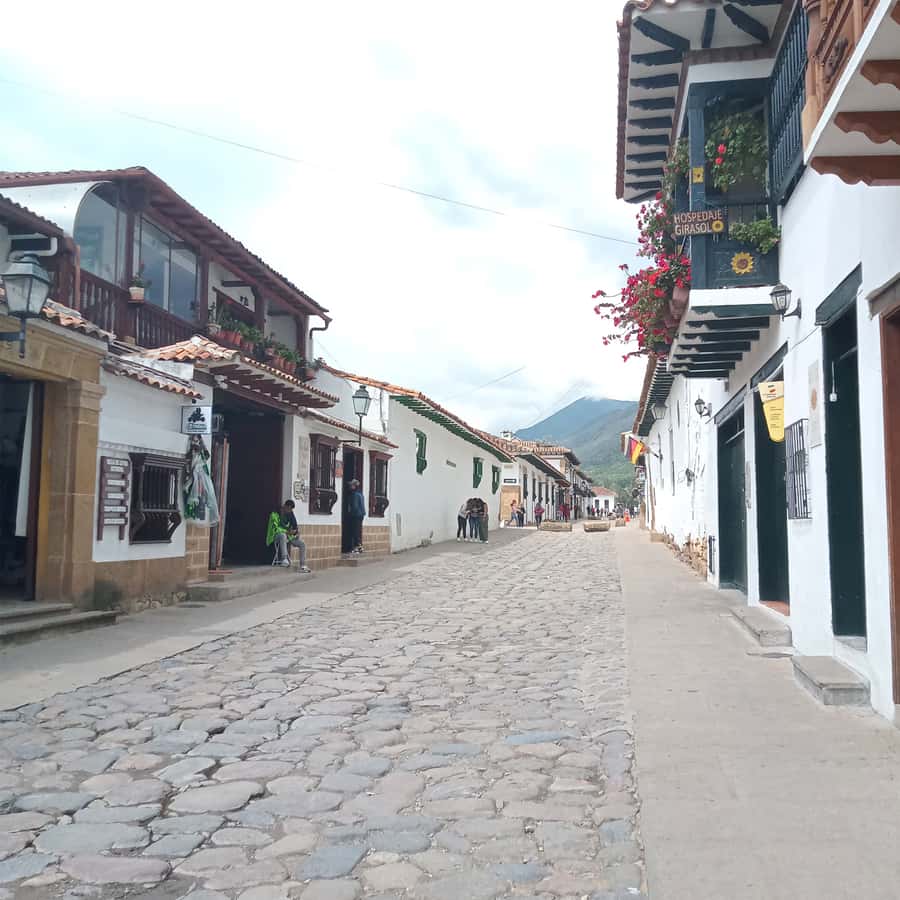From Bogota: Villa de Leyva Day Magic Town Tour - Pozos Azules: when you want a break from town walking
