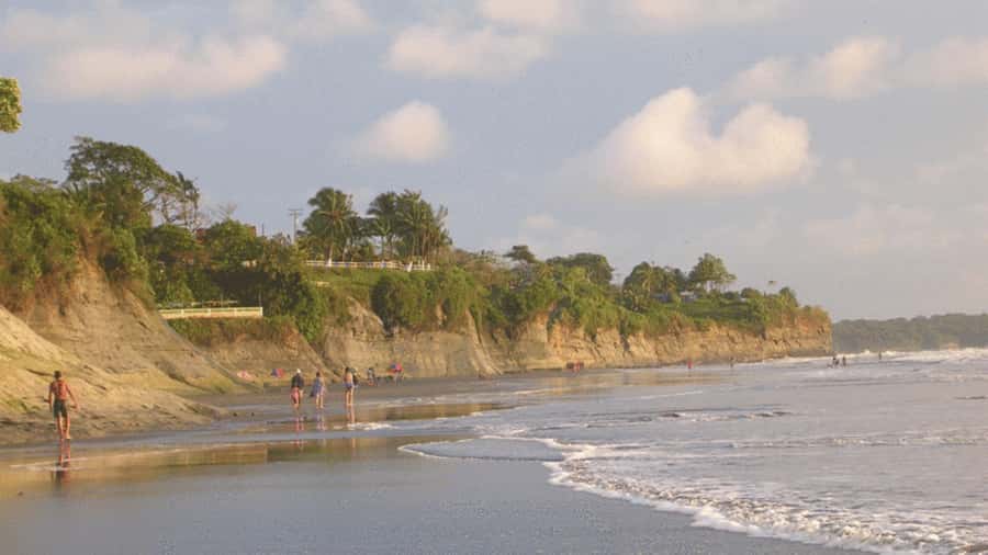 From Cali: Whale Watching Day Trip in Buenaventura - Cali to Buenaventura: the drive that sets the tone