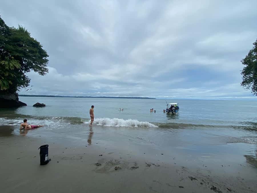 From Cali: Whale Watching Day Trip in Buenaventura - Juanchaco whale watching: what the rules change and why it helps