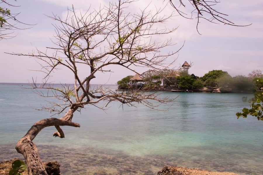 From Cartagena: Rosario Islands Day Trip - The open-water aquarium and the marine show add-on