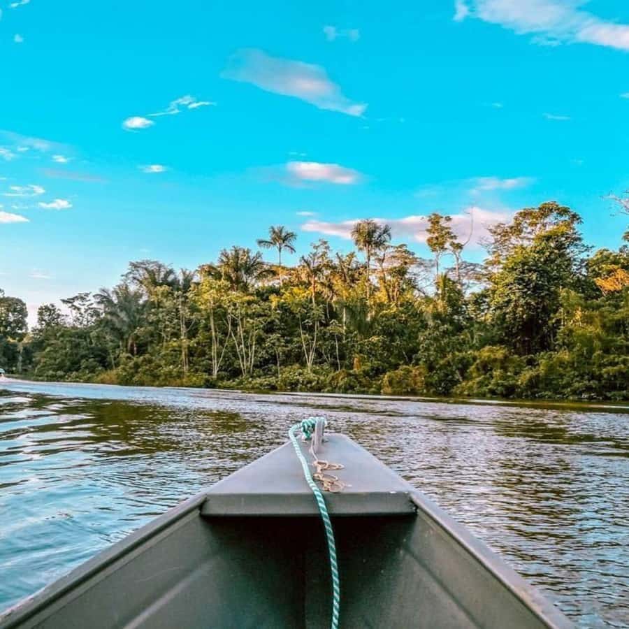 From Leticia: Wild Amazonas Adventure 4-Day Tour - Day 3: Cacao Island trail for primates, birds, and sloths