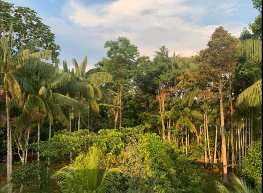 From Leticia: Wild Amazonas Adventure 4-Day Tour - Day 4: Natutama conservation education and back to Leticia