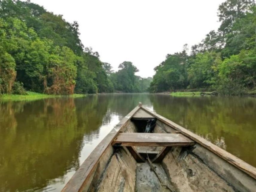 From Leticia: Wild Amazonas Adventure 4-Day Tour - Price and value: what $789 buys you here