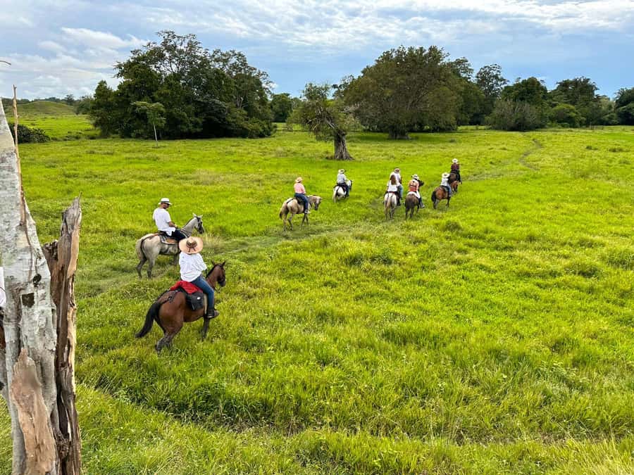 From Medellin; (All-In) The Real Horseback Ranch Experience - Key points before you go