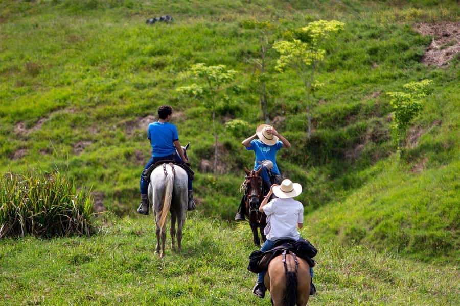 From Medellin; (All-In) The Real Horseback Ranch Experience - Should you book the NAYRA horseback ranch day from Medellín?