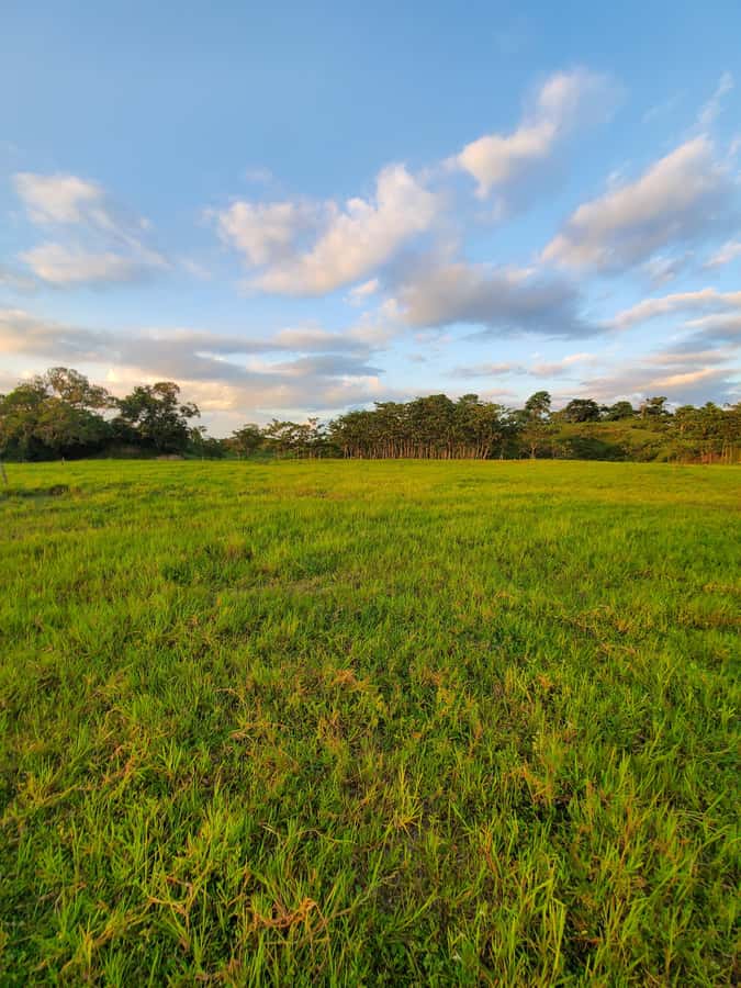 From Medellin; (All-In) The Real Horseback Ranch Experience - Two long horseback segments: hills, water, and wildlife encounters