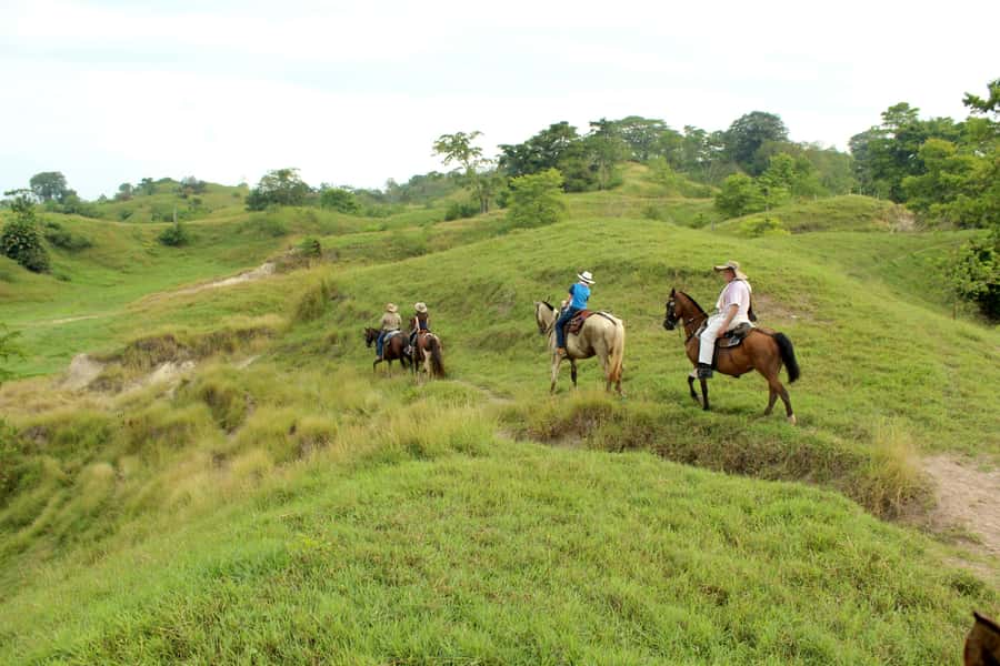 From Medellin; (All-In) The Real Horseback Ranch Experience - Elusive picnic perfection: fiambre in palm leaves