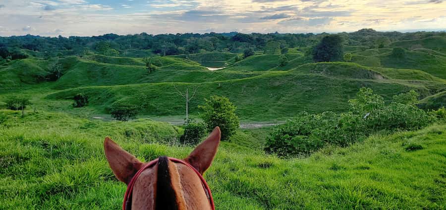From Medellin; (All-In) The Real Horseback Ranch Experience - Lunch, then hammocks and a pool dip if time allows