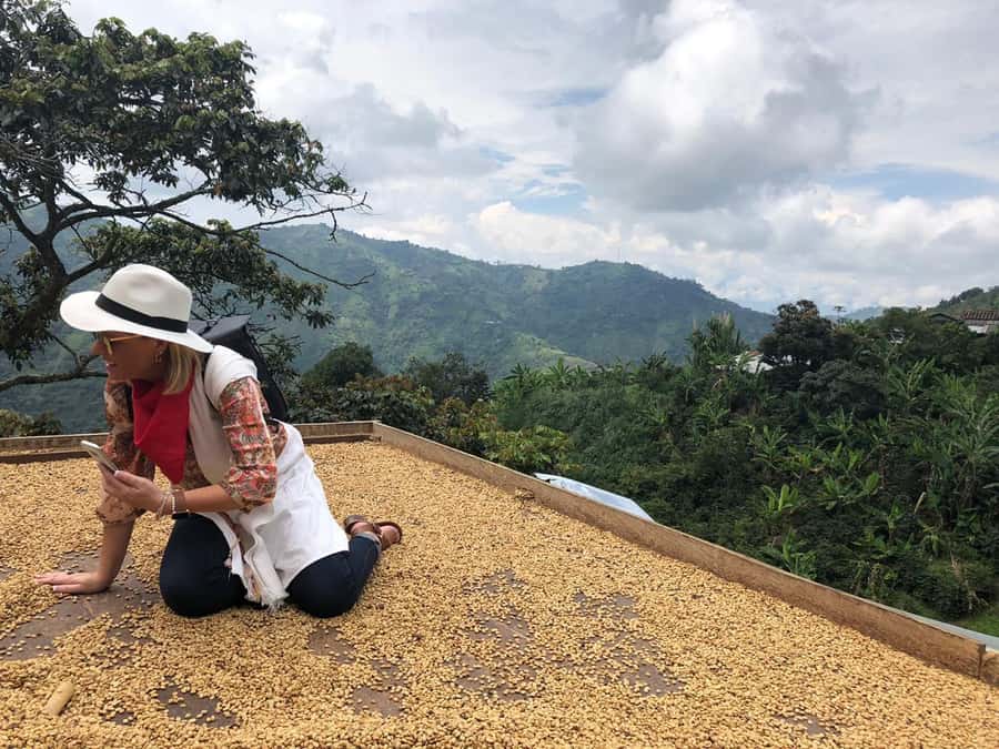 From Medellin: Day Trip to a Jardin Coffee Plantation - Medellin to Jardin, and that long road you should plan for
