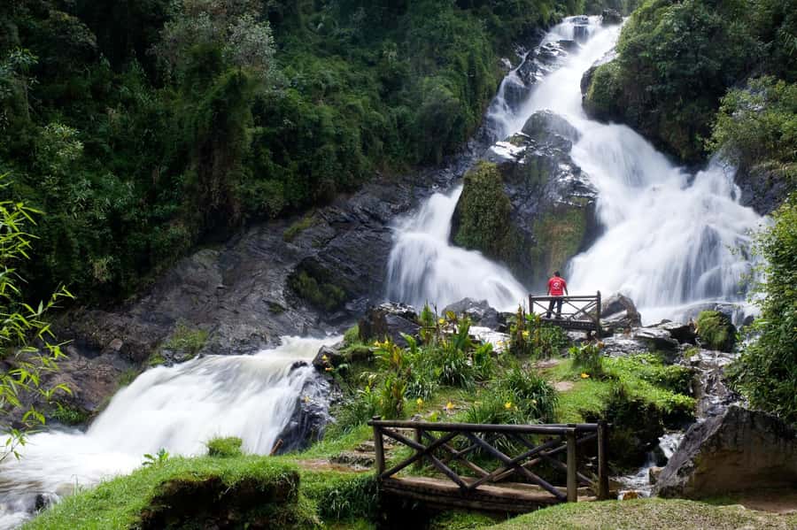 From Medellín: El Retiro Private Tour with Food Tastings - Private SUV, Andean views, and the fast start from Medellín