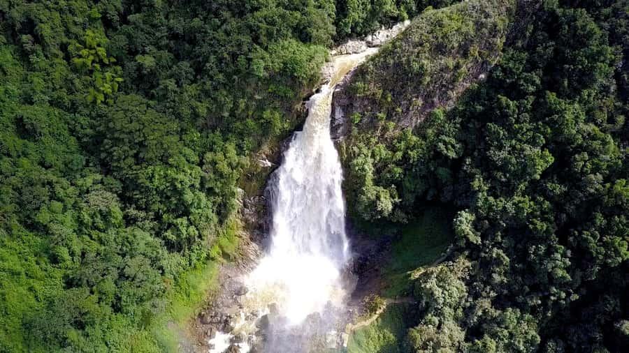 From Medellin: Epic Zipline and Giant Waterfall - Why this Medellin zipline day feels like a real adventure