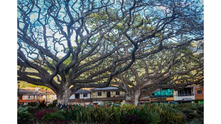 From Medellín: Jardín, Andes, and Hispania Day Trip - Key things to know before you go