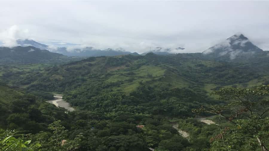 From Medellín: Jardín, Andes, and Hispania Day Trip - Jardín: flowers, colonial streets, and the Basilica moment