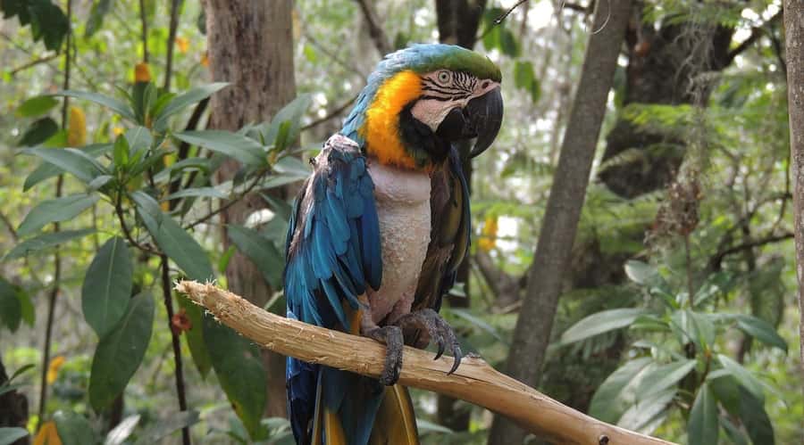 From Medellín: Jardín Private 2-Day Tour with Activities - Why Jardín Makes Sense for a 2-Day Getaway