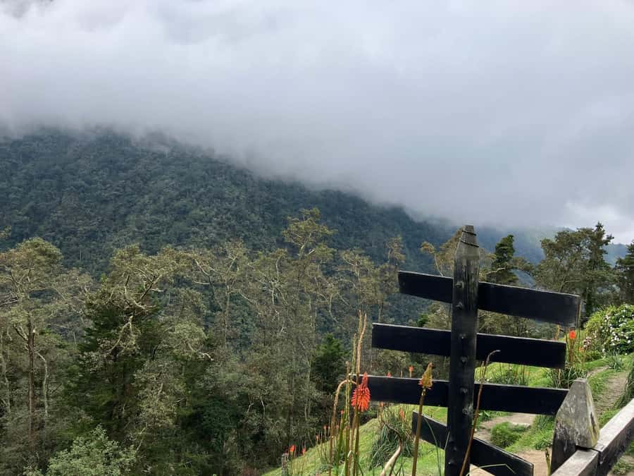 From Medellín: Jardín Private 2-Day Tour with Activities - Value: What You Pay For, and What It Saves You