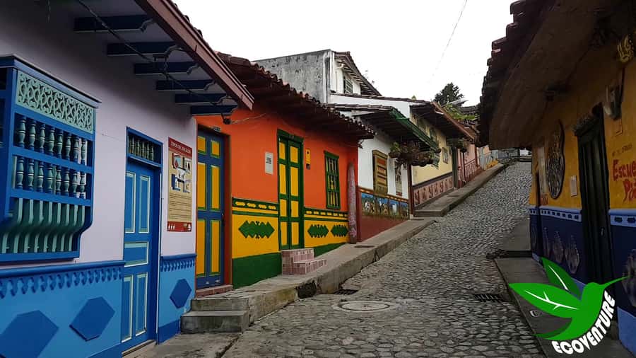 From Medellín: Paragliding Flight and Guatape Tour - Guides make or break it: the names behind the care