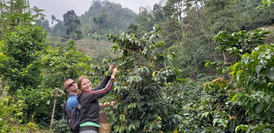 From Medellin: Private Envigado Coffee Tour with Tastings - Private Medellin to Envigado pickup and mountain views