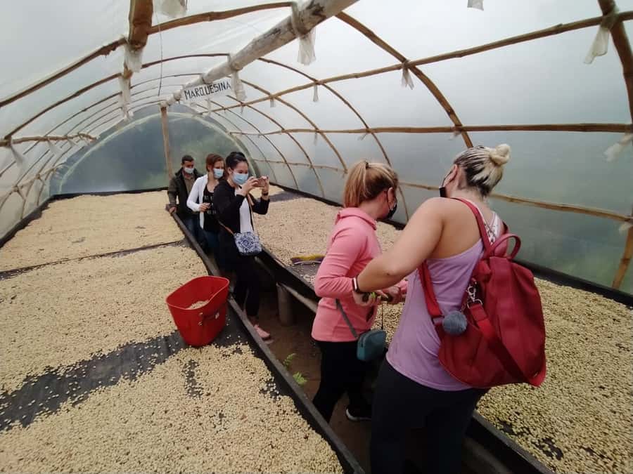 From Medellin: Private Envigado Coffee Tour with Tastings - Coffee villa seed-to-cup: what happens from seed to cup