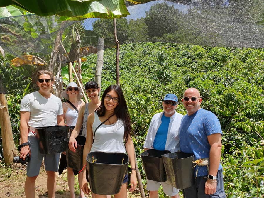 From Medellin: Private Envigado Coffee Tour with Tastings - Picking your own beans at the nearby plantation