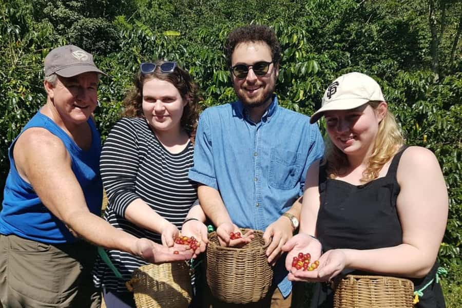 From Medellin: Private Envigado Coffee Tour with Tastings - Should you book the Private Envigado Coffee Tour with Tastings?