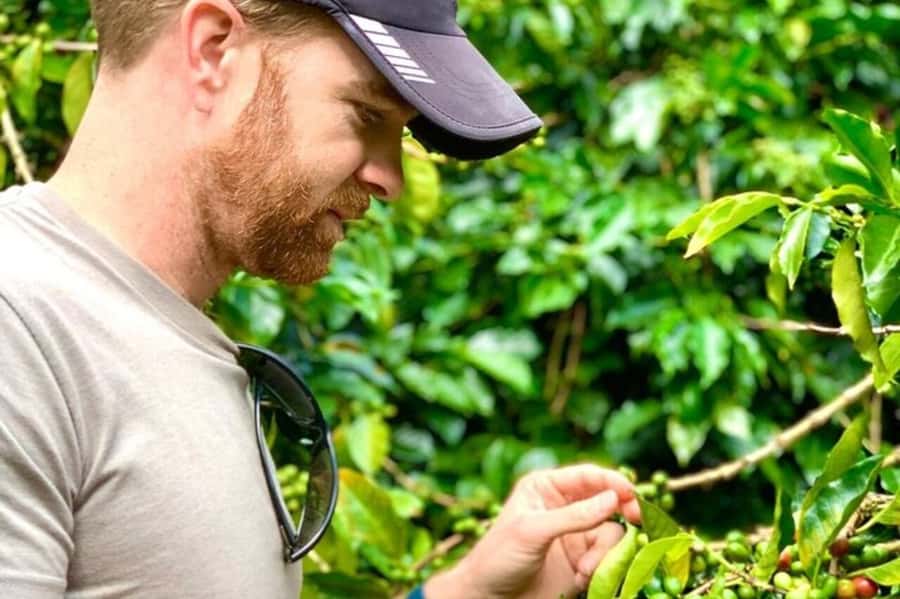 From Medellin: Private Guatape Car Tour with Coffee Tour - The Rock of Guatapé climb: 700 steps, 220 meters up, and real payoff