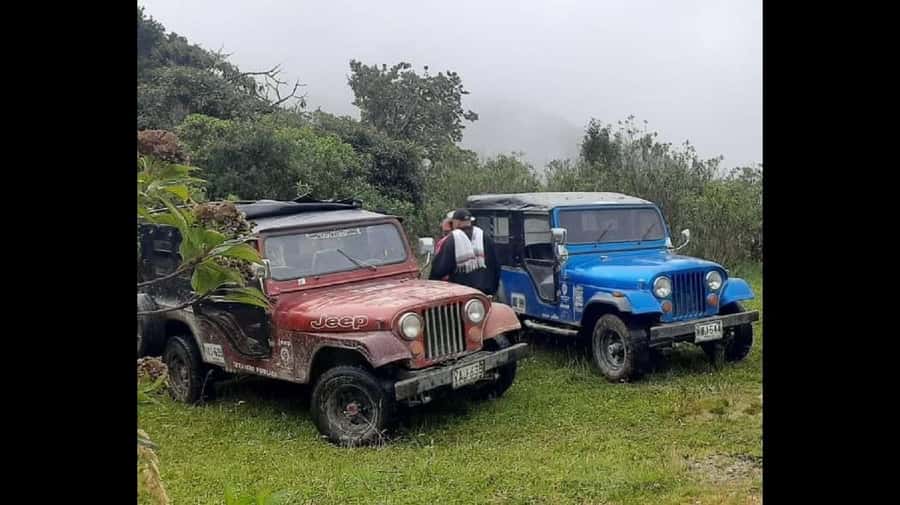 From Salento: Cocora Valley Hiking Tour with Lunch - Key things that make this tour worth your time