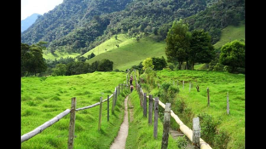 From Salento: Cocora Valley Hiking Tour with Lunch - The Cocora Valley hike: varied walking, big views, smart pacing