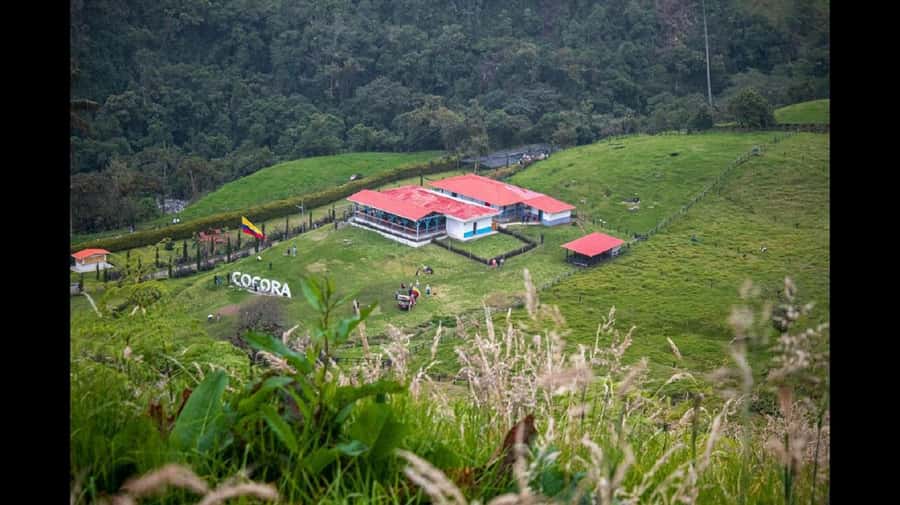 From Salento: Cocora Valley Hiking Tour with Lunch - The wax palm briefing that makes the valley make sense