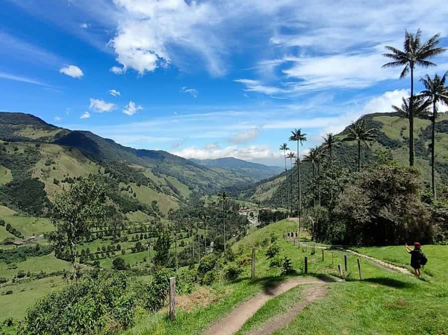 From Salento: Cocora Valley Shared Tour - Quick hits before you go