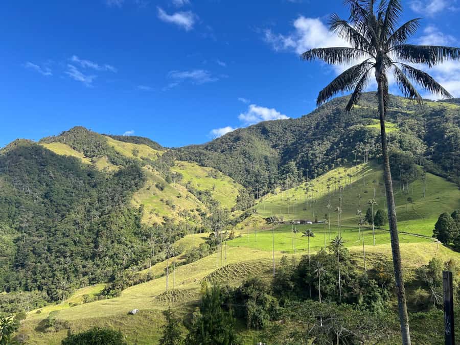 From Salento: Cocora Valley Shared Tour - Should you book this Salento to Cocora Valley shared tour?