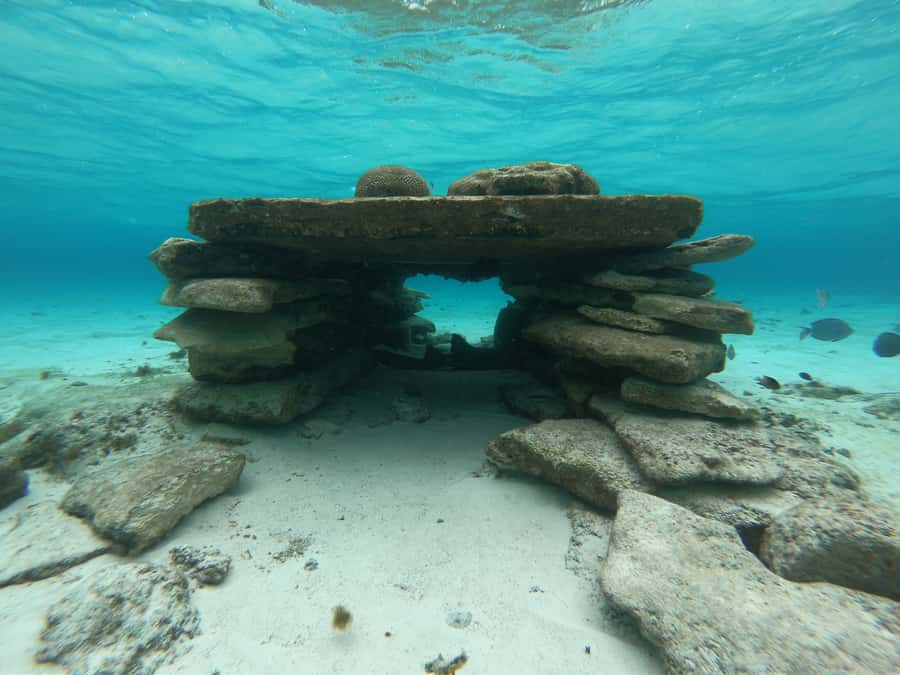 From San Andres: Cayo Acuario Tour - The 3.5 hours on Cayo Acuario: swimming, snorkeling, and finding the good moments
